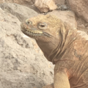 sundrownplace avatar