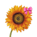 sunflower-eddiediaz avatar