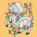 sunflower-halo avatar