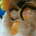 sunflowerfurby avatar