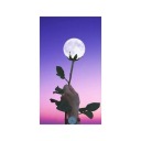 sunflowersstuff avatar