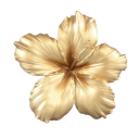 sunkissedmuse-riri avatar