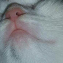 sunkissedmymoon avatar