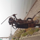 sunlitparadox avatar