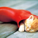 sunny-side-hill avatar