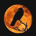 sunsetandsawdust avatar