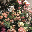 sunsetandthestars avatar