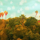 sunsetandvine1989 avatar