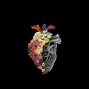 sunsetsandoceans avatar