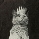 sunshine-gays avatar