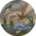 sunshineistoofuckingbright avatar