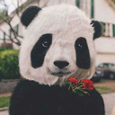 sunubilmesinyeter avatar