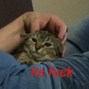 super-the-fish avatar