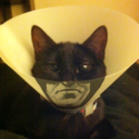 super-who-locked-on-you avatar