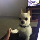 super-writer-gal avatar