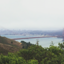 superbaconqueen avatar