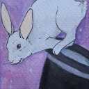 superdogkrypto avatar