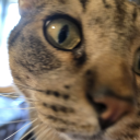 superherocapturedbydemons avatar