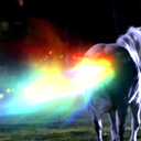 supernatural-pony avatar