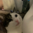 supernaturaldoll avatar