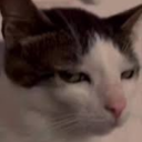 supernova-supersonic avatar