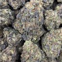 superpedrorogerio avatar