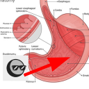 supersecretanom avatar