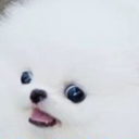 supertankerthings avatar