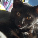 superwholock2199 avatar