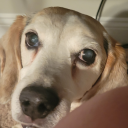 supperpiepuppy avatar