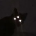 supposedly-ivy avatar