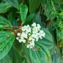 surfin-the-sun avatar