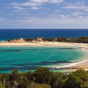 surfing-the-deep-blue avatar