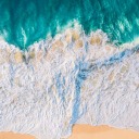 sushitsandgiggles avatar