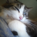 suspiciousamountofghosts avatar