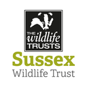 sussexwildlifetrust avatar