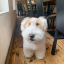 suundewsstuff avatar