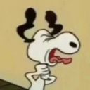 swaggychihuaha avatar