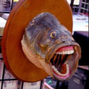 swampthingnepook avatar