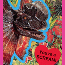 swearwolves-notwerewolves avatar