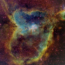 sweatersandtrenchcoats avatar