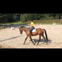 swedish-oxers avatar