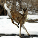 sweet-deerling avatar