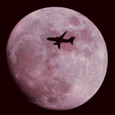 sweetavalanche avatar