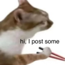 sweetestpotatoes avatar