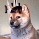 sweethoneybbyboy avatar