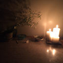 sweetlysprouting avatar