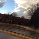 sweetpeabeetle avatar