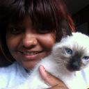 swiftiedirectionerhai avatar