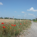 swimmingcap-blog avatar